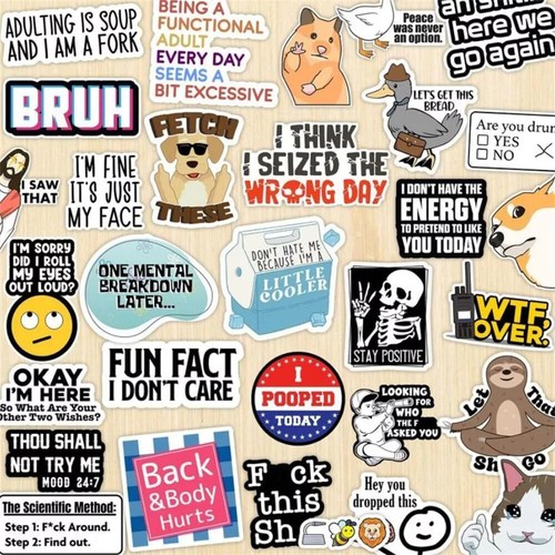 Set of 130 PCS Funny Saying Stickers,Funny Stickers for Adults (Dirty) Memo.. - Picture 2 of 4