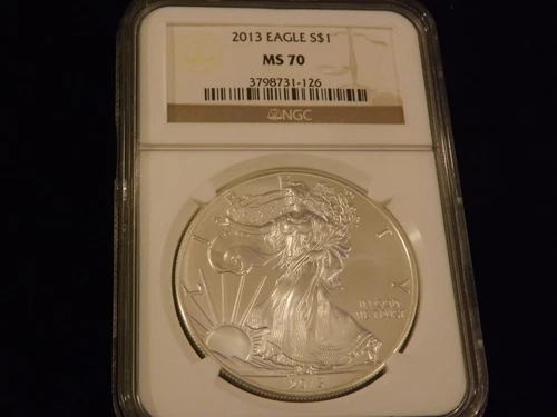 2013   $1      Eagle        NGC  MS 70
