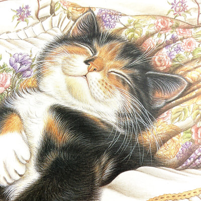 Crown Point Graphics Rosie the Cat Blank Greeting Card  6 Cards