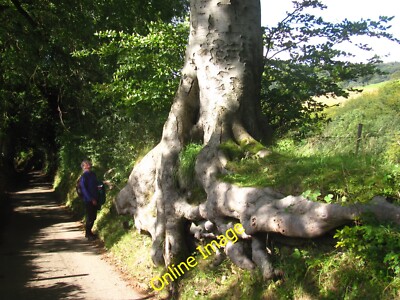 Photo 12x8 Ancient hollow way Hathersage This road was well made with tarm c2012