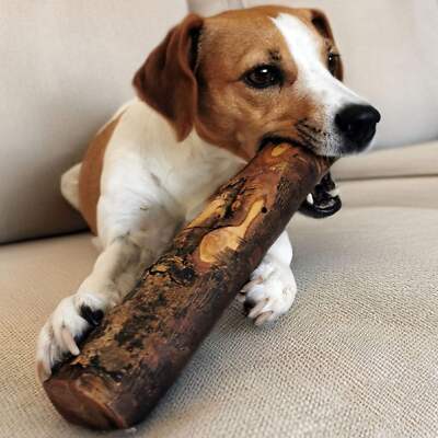 Olivenholz Kauknochen Hunde Spielzeug Kauholz Kaustab Knochen - Buy & Give