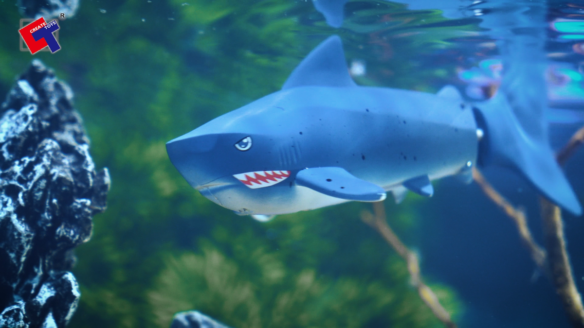 京商SHARK Mono-1 Racer 600 version. 56543 SHARK Mono-1 Racer 600 BLS PIP version. 56543 - KYOSHO RC