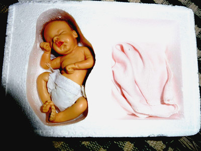 ASHTON DRAKE/SHERRY RAWN ANATOMICALLY CORRECT RESIN DOLL ''FRESH FROM HER BATH''