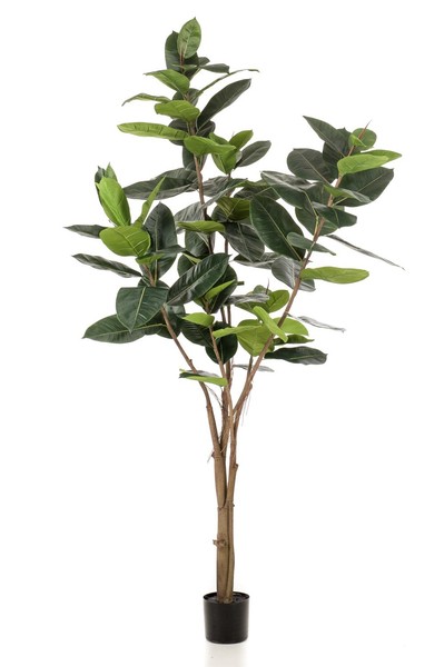 Artplants KüNstlicher Ficus Elastica Feria, Kunststamm, GrüN, 210Cm-image