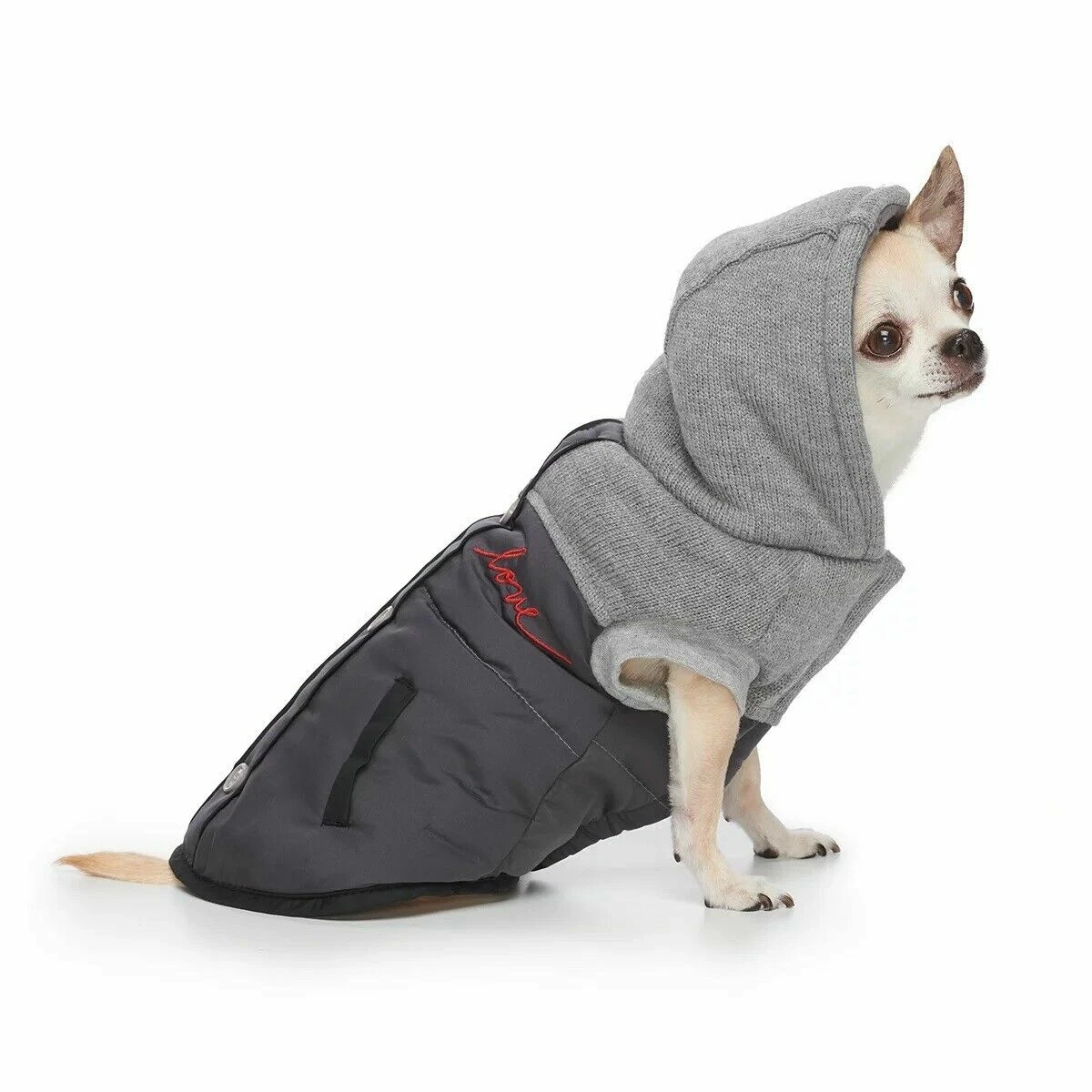 ED BY ELLEN DEGENERES Gray Dog Puffer Coat Jacket Warm Small With Red  u0026#034;Loveu0026#034; | eBay