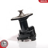 Esen SKV Unterdruckpumpe, Bremsanlage 18SKV011 FüR Land Rover