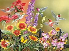 SunsOut Hummingbirds at the Gate 500 pc Jigsaw Puzzle