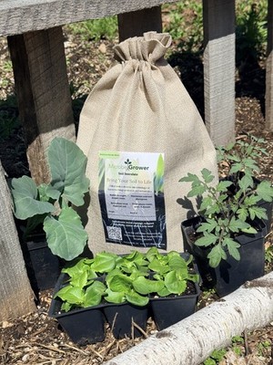 Living Soil Amendment Worm Castings Biochar Organic Microbes Garden Compost Mix
