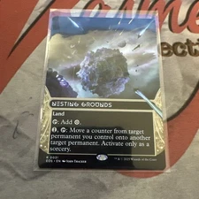MTG Nesting Grounds (0031) (Borderless) Edge of Eternities: Stellar Sights R