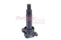Metzger 0880556 ZüNdspule FüR CitroËN Daihatsu Peugeot Passend FüR Subaru