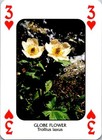 Bild 5 von 54