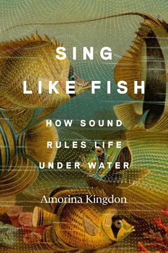 Amorina Kingdon Sing Like Fish (Copertina rigida)