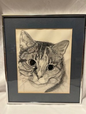 PORTAIT OF A CATS FACE PENCIL DRAWING ARTWORK BLUE MATTED IN SILVER FRAME