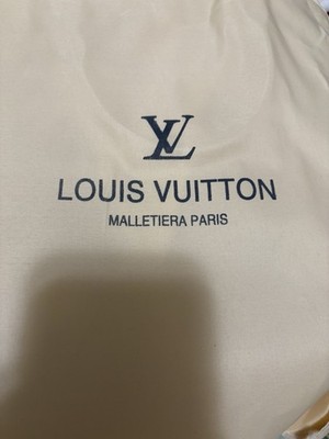 Louis Vuitton soft Handbag