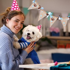 Tierbedarf Haustierbedarf Heimtierbedarf Partydekoration Für Haustiere