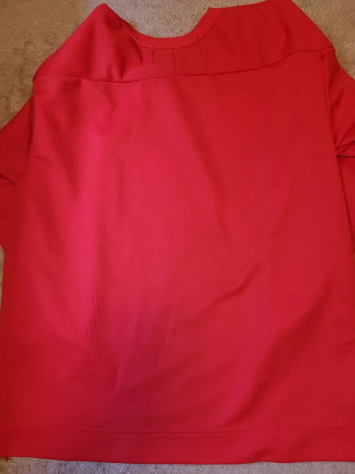 NHL Pro Player Buffalo Sabres Goathead Center Ice Practice Hockey Jersey, Size M - Image 3 of 3