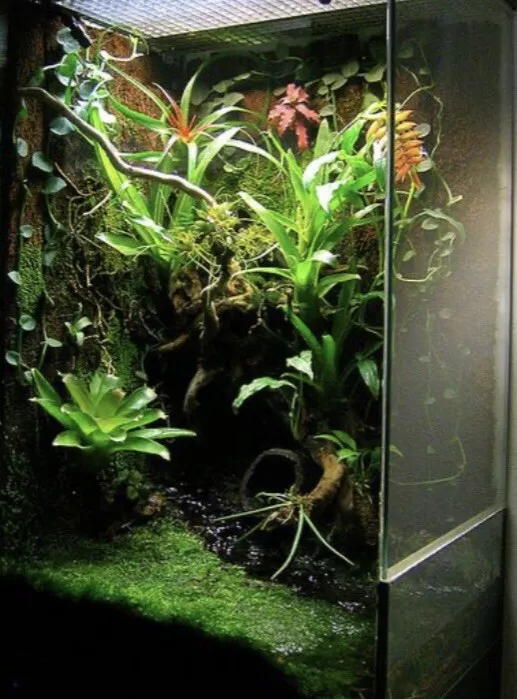 Picture 4 of 10