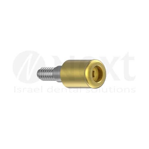 LOTx2 Flat abutment 4 mm attachment internal hex Set - Picture 3 of 4
