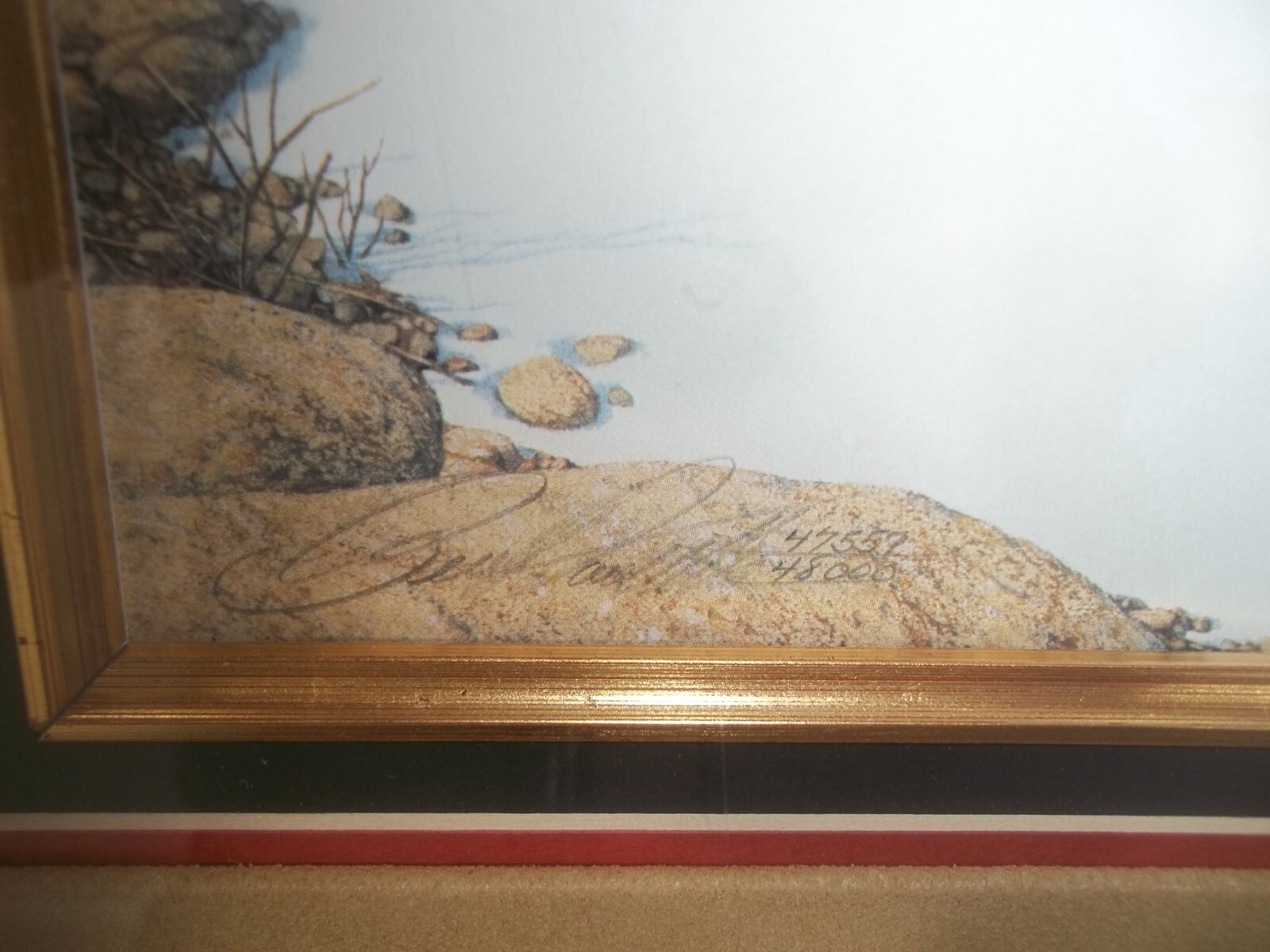 Picture 3 of 7