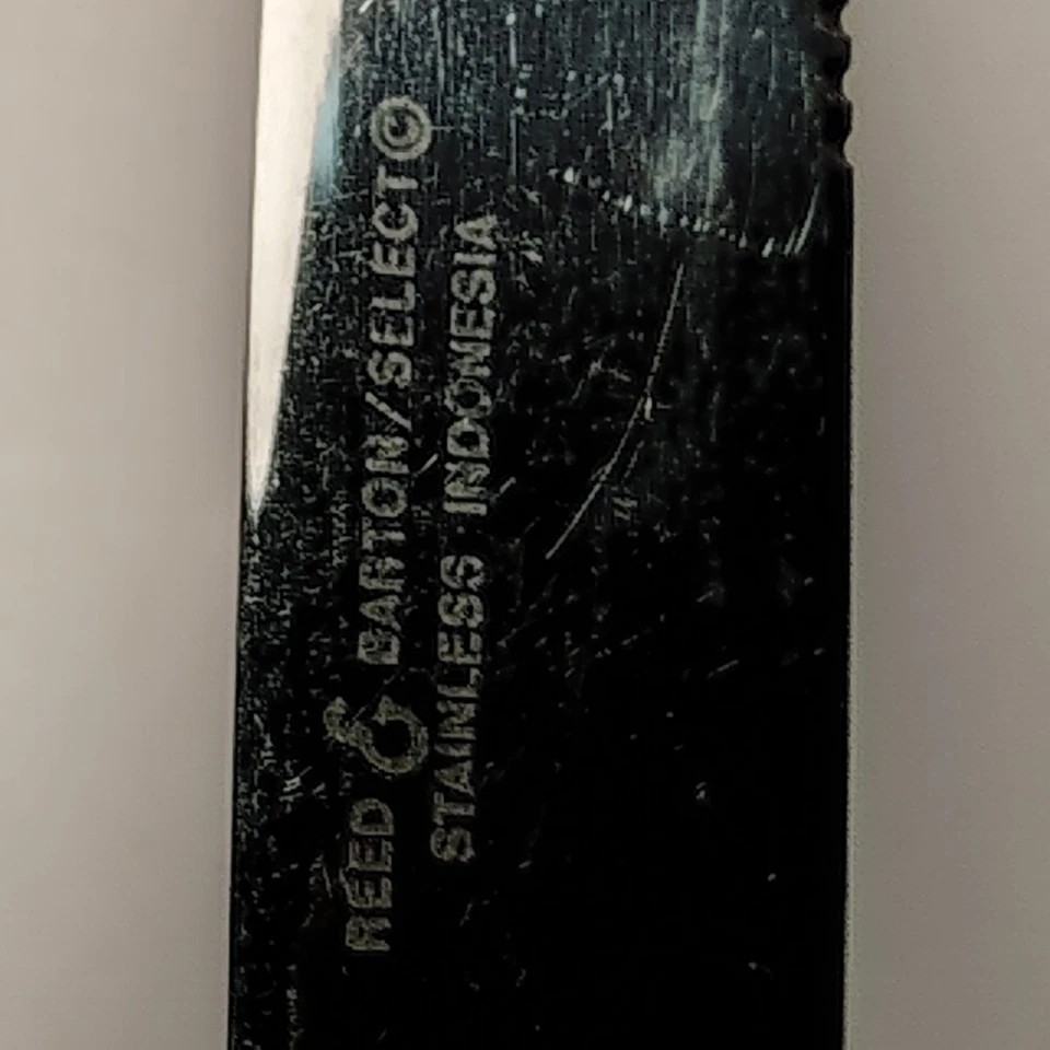 Cuchillos para mantequilla (2) de acero inoxidable Reed & Barton Select SANDERLING (2) Foto 3 de 4