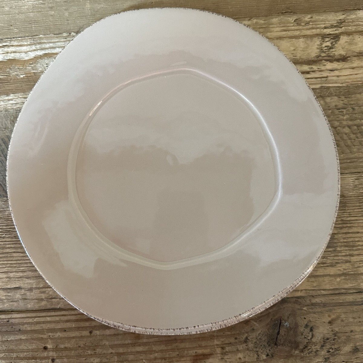 Vietri Lastra Elegantly Rustic Farmhouse Country Dinner Plates Cappuccino  - Main Image