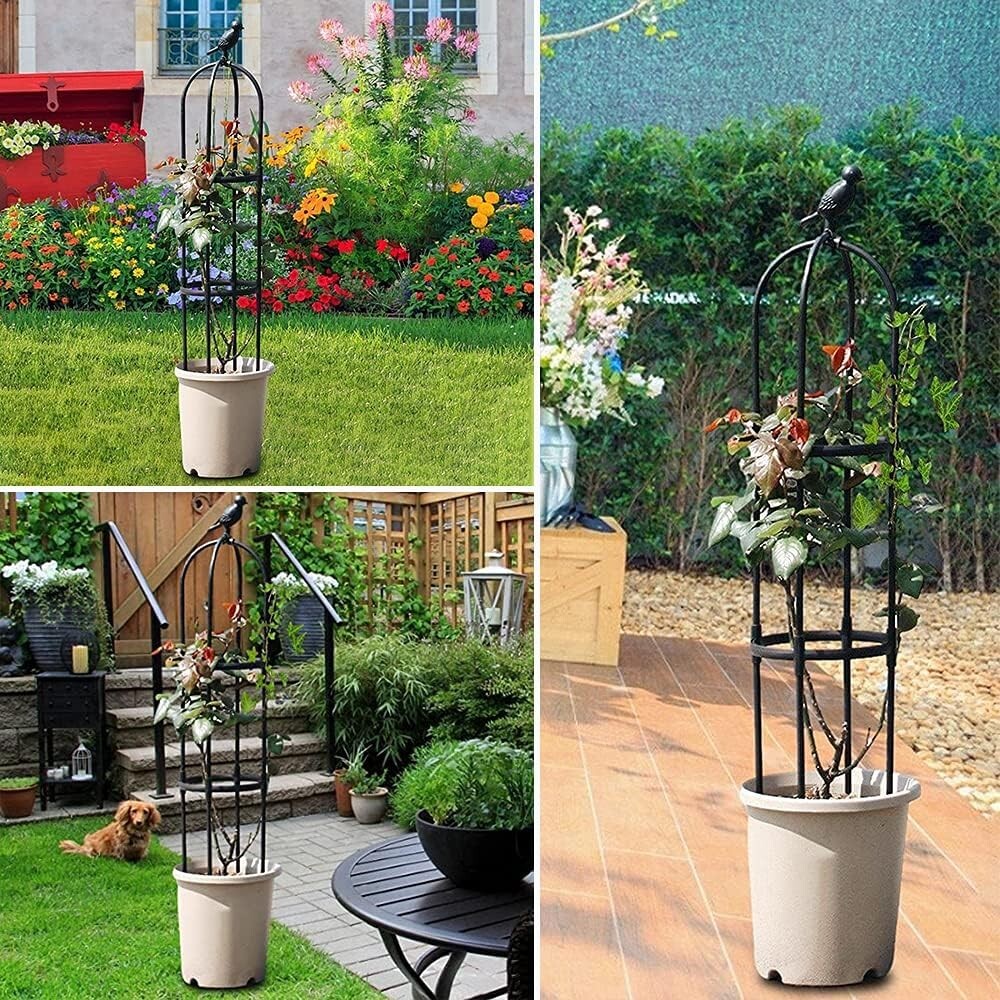 Garden Trellis for Climbing Plants 6 Feet Rustproof Metal Potted Plant ...
