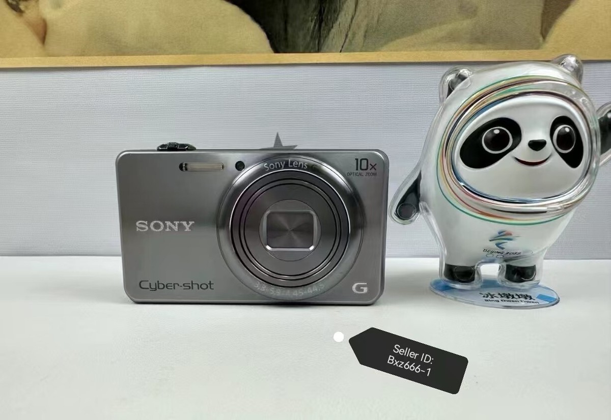 SONY Cyber-shot DSC-WX200 Digital Camera 18.2MP 10x Optical Zoom