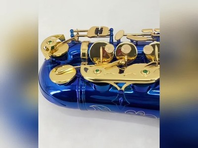 Alto Saxophone E Flat Blue Lacquer Sax Full Kit With Carrying Case