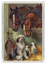 OLD ENGLISH SHEEPDOG DOG & HORSES FRIDGE MAGNET GREAT GIFT