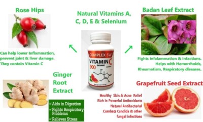 HIGH DOSE VITAMIN C CALCIUM ASCORBATE, ACEROLA, VITAMIN A,E,D, GINGER, SELENIUM 