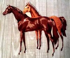 mare stallion horse fabric applique iron on not embroidered 11 inch USA made