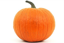 200 PCS Connecticut Field Pumpkin Seeds For Planting Large Heirloom Garden