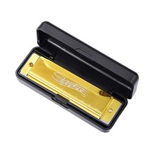 Mouth Organ Portable Teaching Aids 10 holes Harmonica for Travel Stage Family