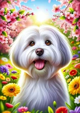 Coton De Tulear Springtime II Flag