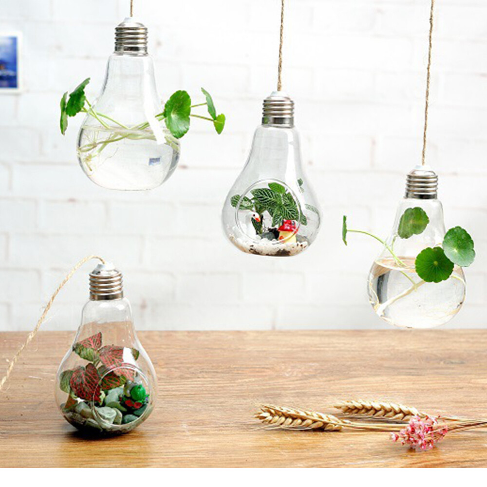 Glass Light Bulb Vase Wall Hanging Orb Planter for Flowers