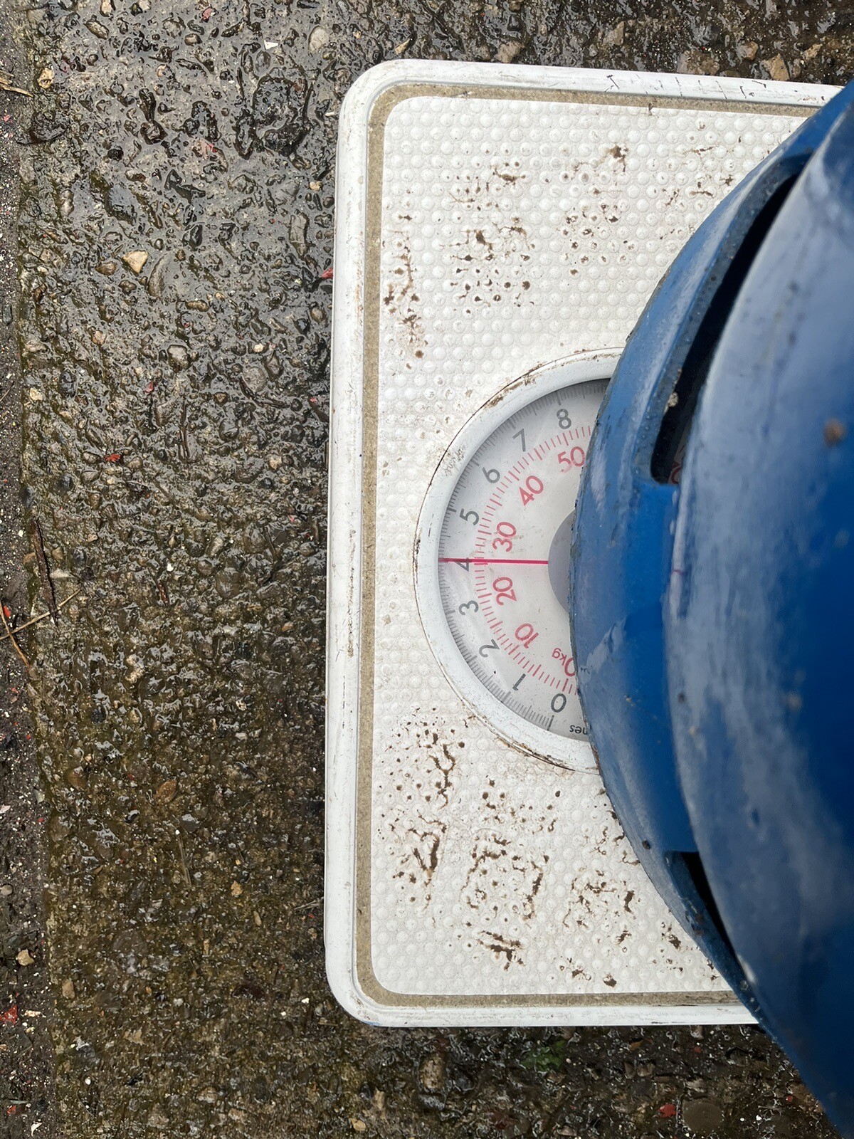 15kg Half Full Butane Calor Gas Bottle eBay