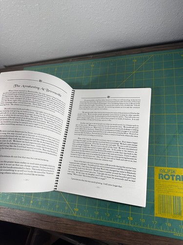 The Visitation: Photos and Essays from the Brownsville Revival Cathy Wood - Bild 15 von 15