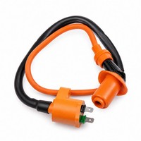 Dr ZüNdspule Mit Kerzenstecker (FüR: Piaggio Carnaby 200 M601 07-10 )