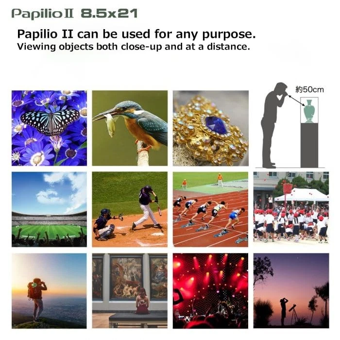 Pentax Binoculars Papilio II 8.5x21 Macro Museum View Bak4 Prism 62002 - Image 3 of 4