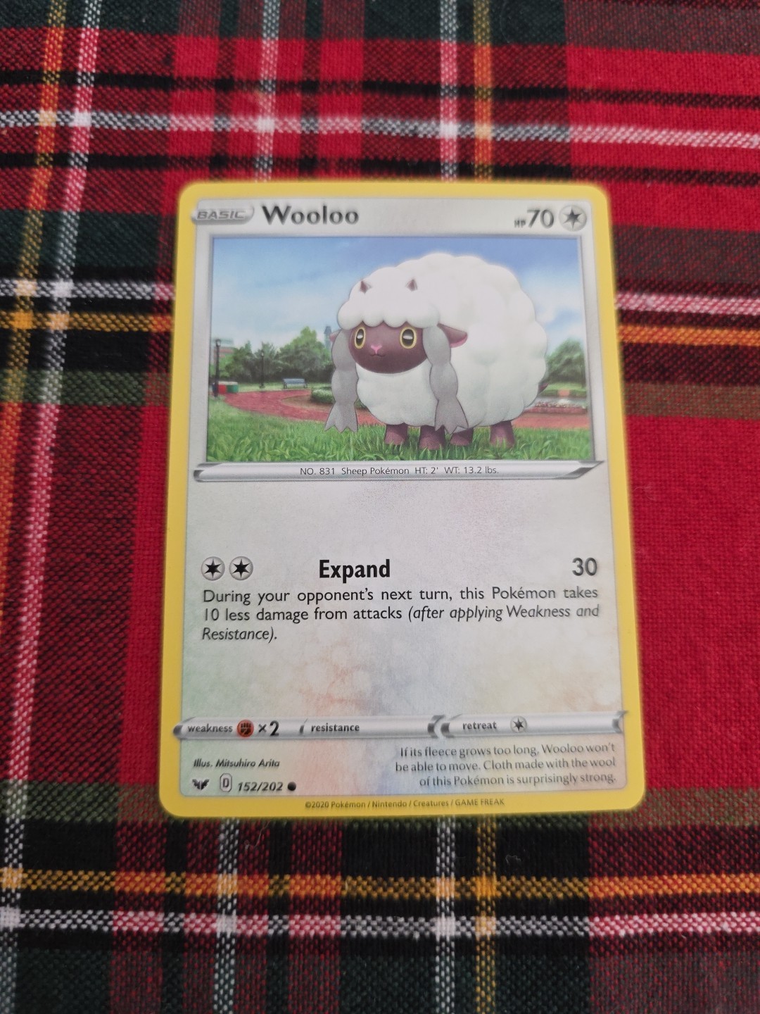 Wooloo 152/202 Sword & Shield Pokemon Card NM