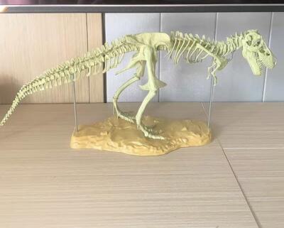 Zum Selbermachen T-Rex Dinosaurier Fossil Spielzeug - großes zusammengebautes Skelettmodell für Kinder