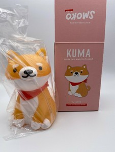 kuma shiba inu