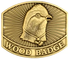 BOY SCOUTS OF AMERICA WOOD BADGE BOBWHITEHIKING STAFF STICK SHIELD MEDALLION