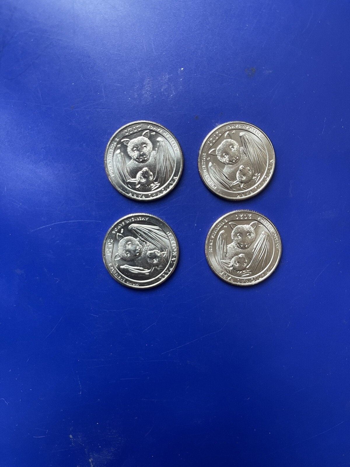 2020 Covid Bat Quarter Lot Of 4 Coins Uncirculated Great Shape eBay