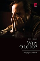 Why O Lord? David J. Cohen Taschenbuch Kartoniert / Broschiert Englisch 2013