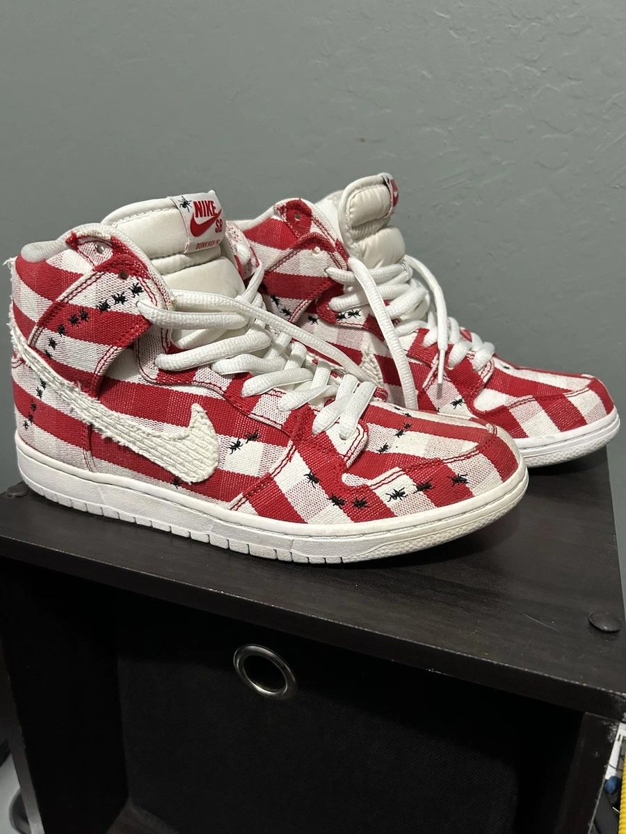 Nike Dunk Pro SB High Picnic | eBay