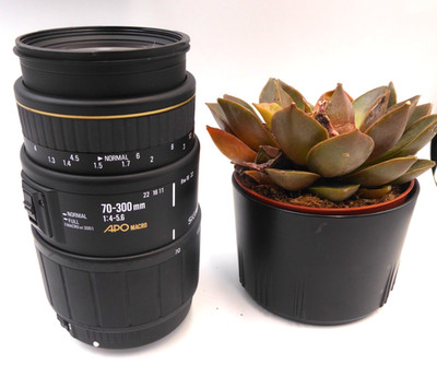 Sigma 70-300mm F4-5.6 APO MACRO AF Zoom Canon Objektiv mit Objektivdeckel vorne & hinten
