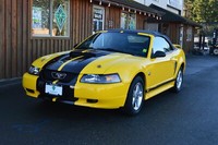 2004 Ford Mustang 40th Deluxe
