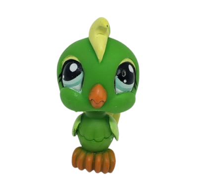 primal raw beef marrow bone