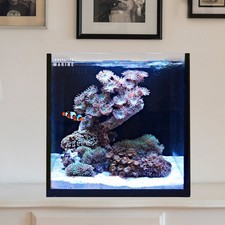 15 Gallon Fusion AIO All in One Cube Aquarium 0215-P Innovative Marine
